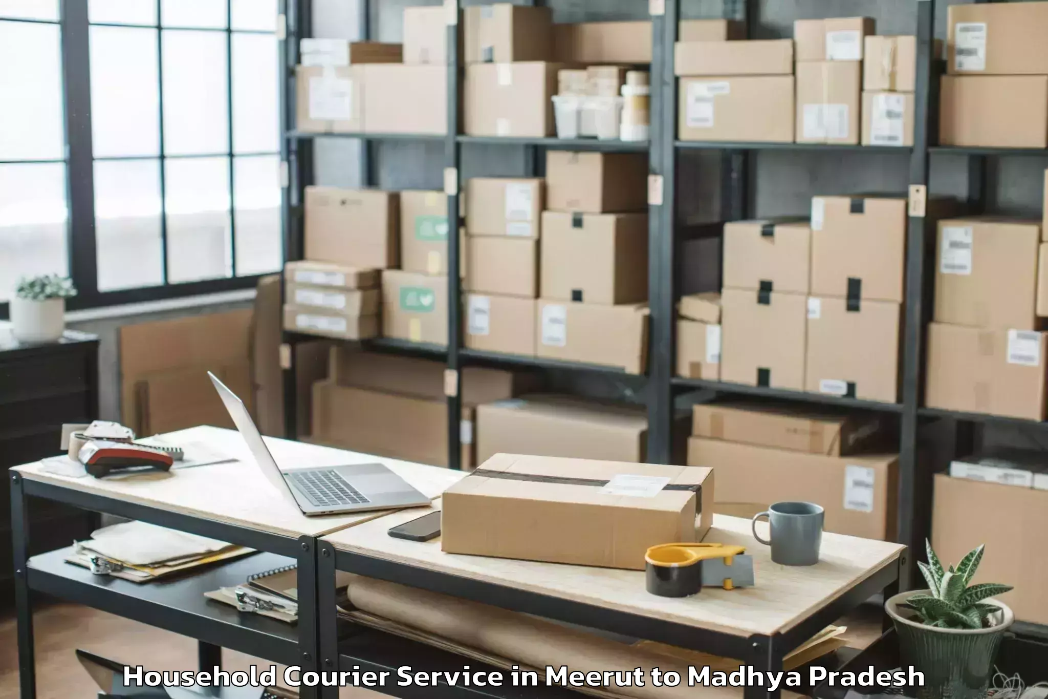 Book Meerut to Abhilashi University Satna Household Courier Online